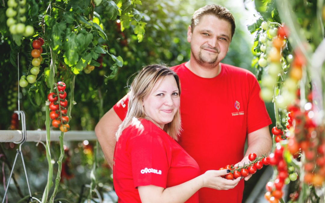 Revolúcia v pestovaní: Ako manželia Danielovci vylepšili slovenské jahody a paradajky