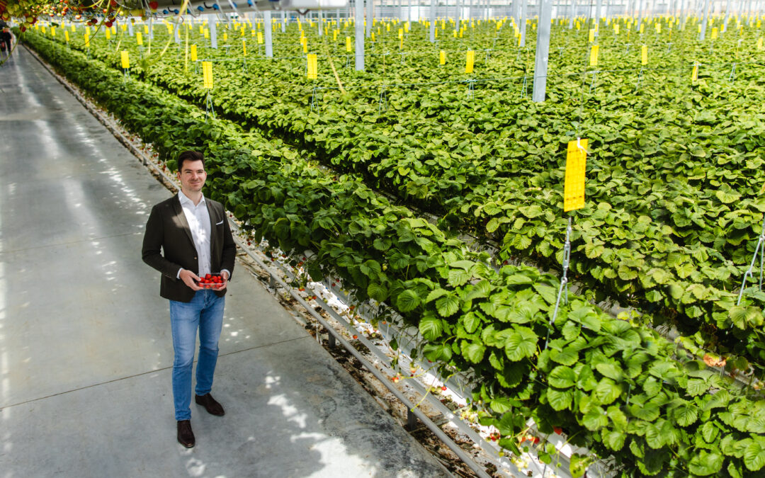 Nezastaviteľní: Ako slovenskí farmári zvládli výzvy extrémov sucha a horúčav a sú unikátom v Európe?